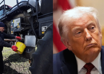 Trump tariffs Canadian fertilizer