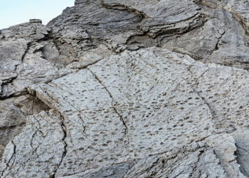 Italy dinosaur footprints discovery