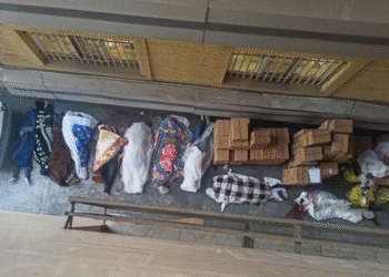 بیمارستان الغدیر و کشتار دی‌ماه