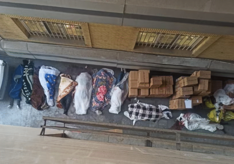 بیمارستان الغدیر و کشتار دیماه