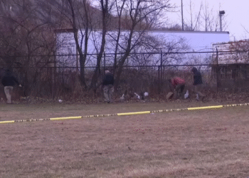 Cleveland suitcase murder discovery