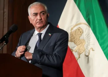 رضا پهلوی و اهداف اقتصادی