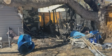 Shooting at Lambton College