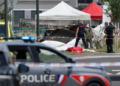 France Skydiving Plane Crash