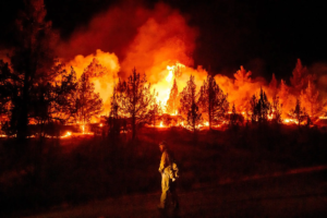 Europe Wildfire Crisis Grows