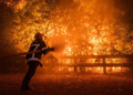 France Wildfire Mass Evacuations