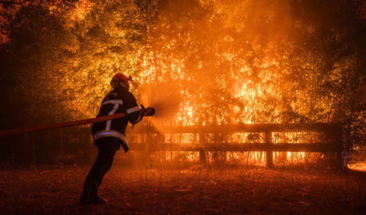 France Wildfire Mass Evacuations