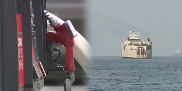 U.S. halts Iran oil