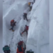 Broad Peak Avalanche Recovery