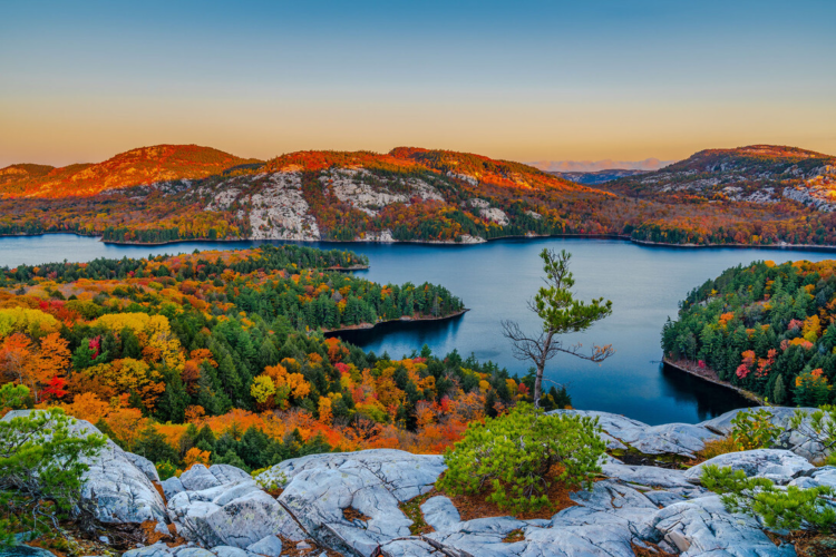 Ontario permanent residence pathway