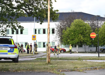 Sweden school sword attack
