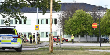 Sweden school sword attack