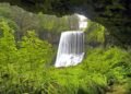 20-year-old man dies after falling from Oregon waterfall while taking photo
