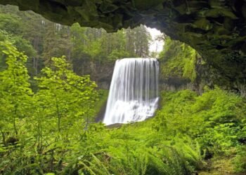 20-year-old man dies after falling from Oregon waterfall while taking photo