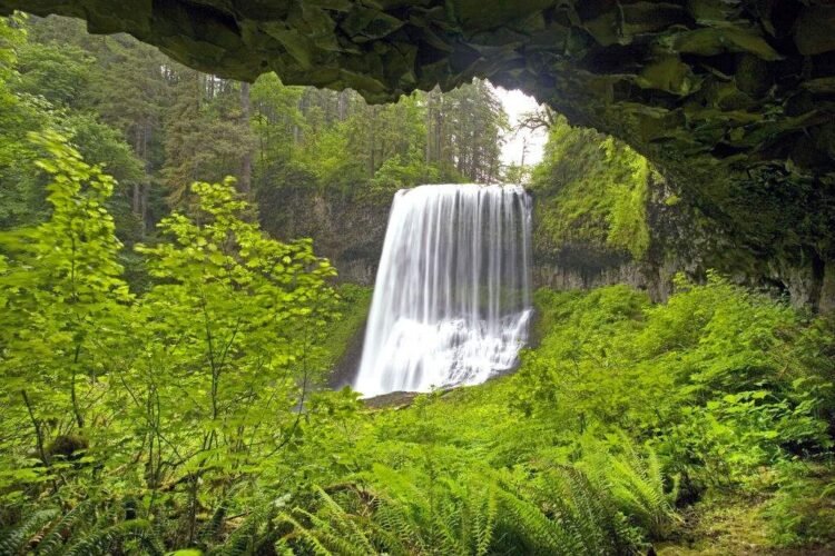 20-year-old man dies after falling from Oregon waterfall while taking photo