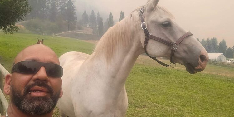 Livestock rescuer in Summerland wildfire barred after violating protocols