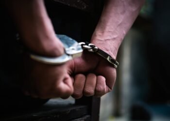 Property and violent crimes fuel rise in youth charges: StatCan
