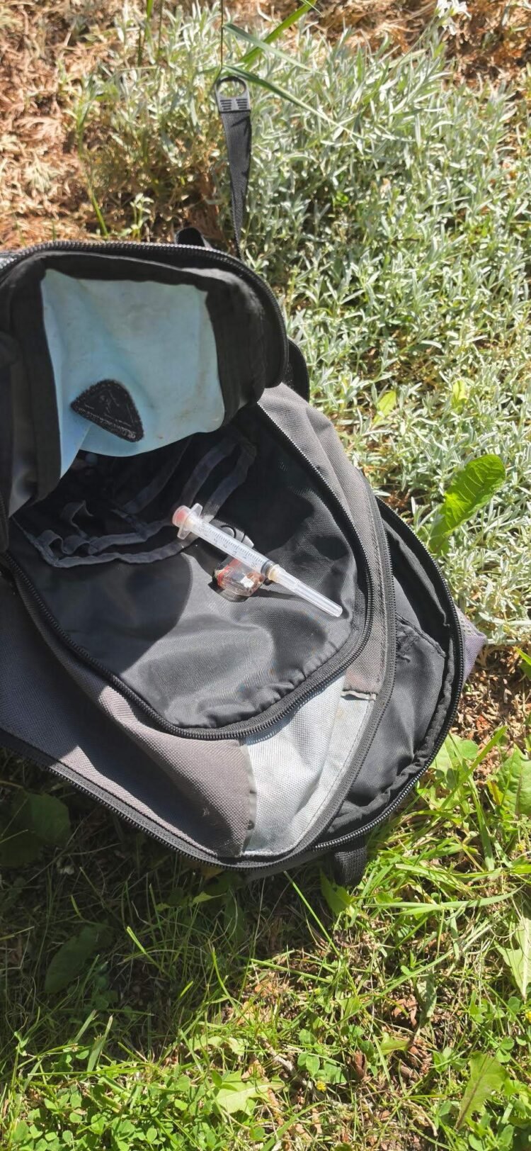 Rutland Homeowner Fells Trees to Deter Homeless Activity