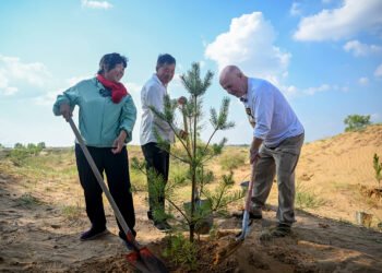 American Teacher's $5,000 Gift Transforms Chinese Desert