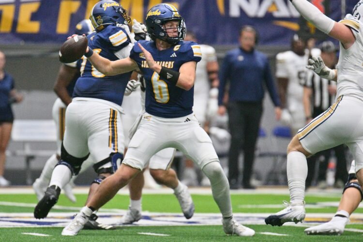 Blue Bombers Land New QB in Trade with RedBlacks