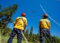 Drones Set to Play Larger Role in Wildfire Combat