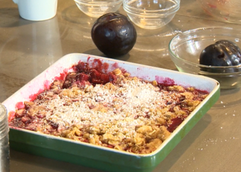 Easy Homemade Plum Crisp Recipe