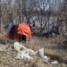 Encampment Numbers Drop as Governments Seek Solutions