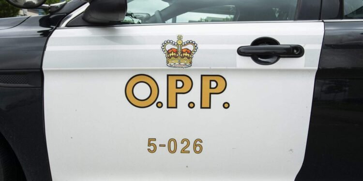 Georgian Bay Capsizing Kills California Resident: OPP