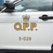 Georgian Bay Capsizing Kills California Resident: OPP