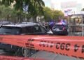 Leaders Condemn Montreal Woman's Killing on Zoom Call