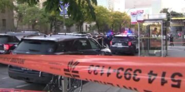 Leaders Condemn Montreal Woman's Killing on Zoom Call