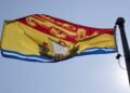 NB Lawyer Disbarred for Professional Misconduct