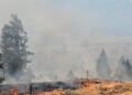 Okanagan Towns Plan Burns to Cut Wildfire Risk