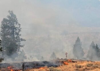 Okanagan Towns Plan Burns to Cut Wildfire Risk