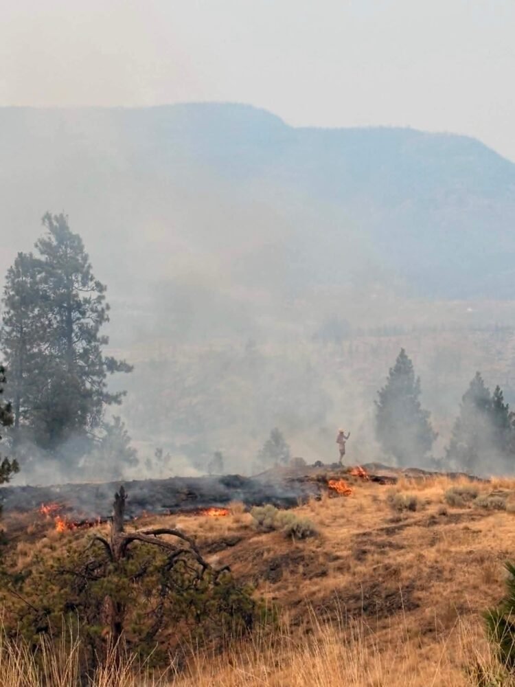 Okanagan Towns Plan Burns to Cut Wildfire Risk