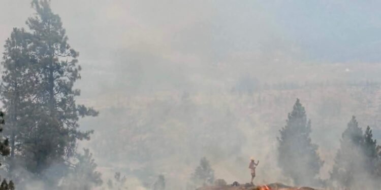 Okanagan Towns Plan Burns to Cut Wildfire Risk