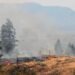 Okanagan Towns Plan Burns to Cut Wildfire Risk