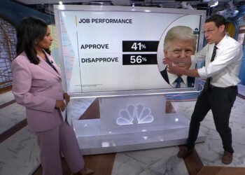 Poll: 43% Want Midterms as Anti-Trump Signal