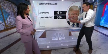 Poll: 43% Want Midterms as Anti-Trump Signal
