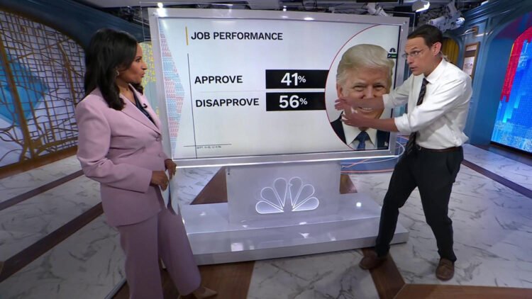 Poll: 43% Want Midterms as Anti-Trump Signal