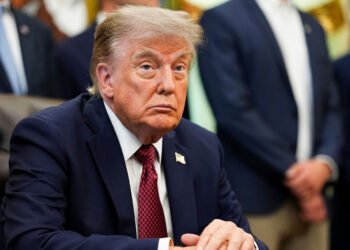Trump Calls AI Dangers a Hoax