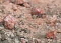 Trump Seeks Lower Price on Canadian Potash Imports