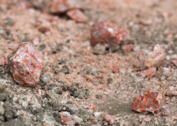 Trump Seeks Lower Price on Canadian Potash Imports
