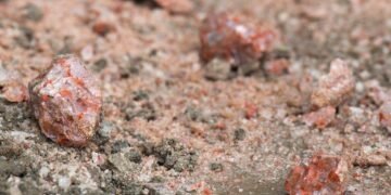 Trump Seeks Lower Price on Canadian Potash Imports