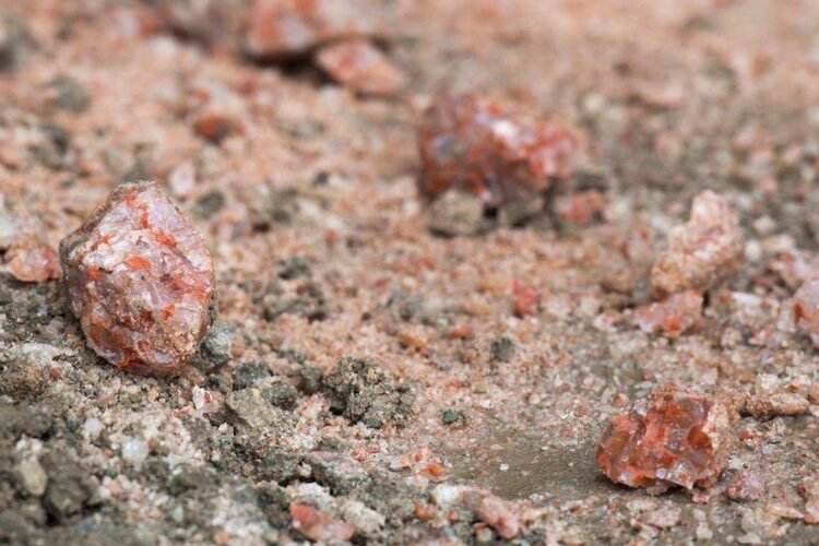 Trump Seeks Lower Price on Canadian Potash Imports