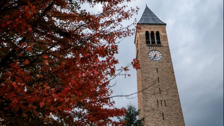 Cornell Faculty Senate Receives Sexual Assault Allegation Letter