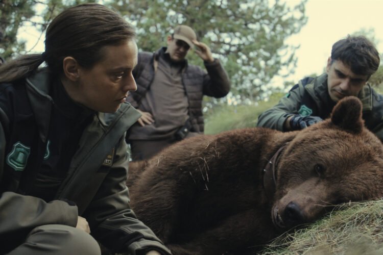 Etty and Killing a Bear Win at Serielizados