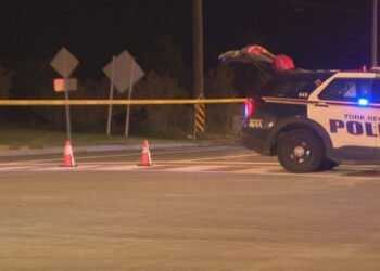 Fatal Vaughan Hit-and-Run: Police Appeal for Witnesses