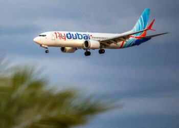 Flydubai Co-Pilot Acted Alone, Officials Indicate
