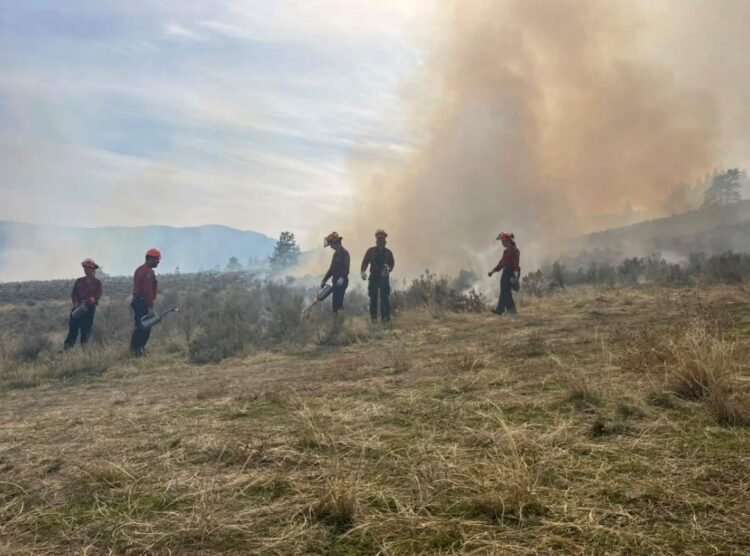 Indigenous Cultural Burn Near Osoyoos Revives Old Traditions
